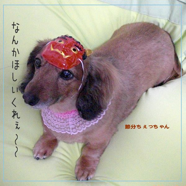 チェリコ
